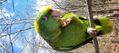 Enlarge photo 252