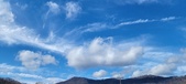 Enlarge photo 287