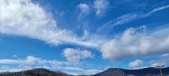 Enlarge photo 286