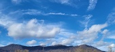 Enlarge photo 285