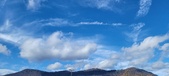 Enlarge photo 291