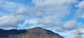 Enlarge photo 289