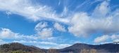 Enlarge photo 294