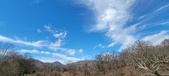 Enlarge photo 297