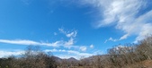 Enlarge photo 296