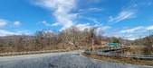 Enlarge photo 303