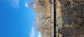 Enlarge photo 317