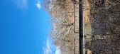 Enlarge photo 316