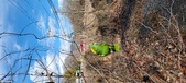Enlarge photo 331