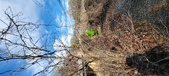 Enlarge photo 330