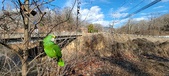 Enlarge photo 328