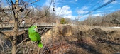 Enlarge photo 335