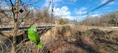 Enlarge photo 334