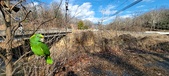 Enlarge photo 338