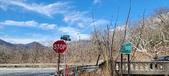 Enlarge photo 336