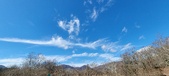 Enlarge photo 345