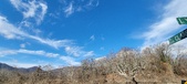 Enlarge photo 344