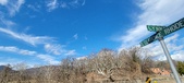 Enlarge photo 351