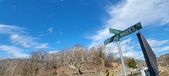 Enlarge photo 350