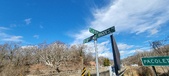 Enlarge photo 349