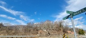 Enlarge photo 348