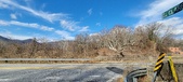 Enlarge photo 355