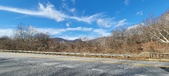 Enlarge photo 352