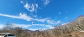 Enlarge photo 356