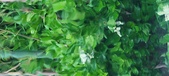 Enlarge photo 35