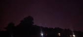 Enlarge photo 320