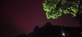 Enlarge photo 312