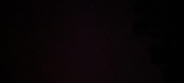 Enlarge photo 291
