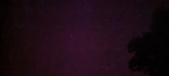 Enlarge photo 290