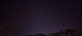 Enlarge photo 274