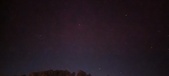 Enlarge photo 269