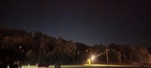Enlarge photo 263