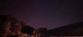 Enlarge photo 256