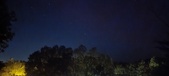 Enlarge photo 251