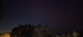 Enlarge photo 249