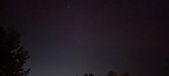 Enlarge photo 245