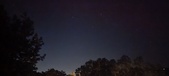 Enlarge photo 244
