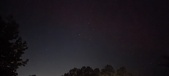 Enlarge photo 243