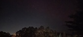 Enlarge photo 237