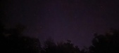 Enlarge photo 233