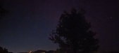 Enlarge photo 229