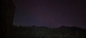 Enlarge photo 213