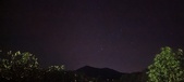 Enlarge photo 185