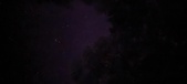 Enlarge photo 181