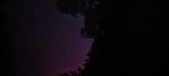 Enlarge photo 183