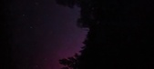 Enlarge photo 179